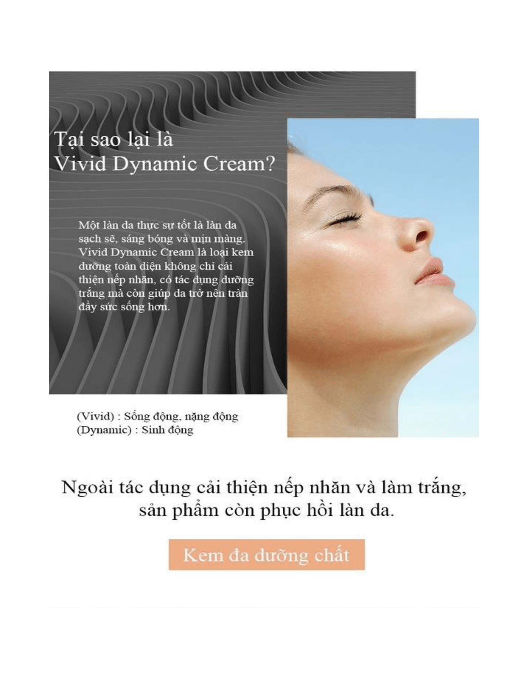 Kem dưỡng trắng da, căng bóng toàn diện - Vivid Dynamic Cream Jeu’Demeure Dermishuttle